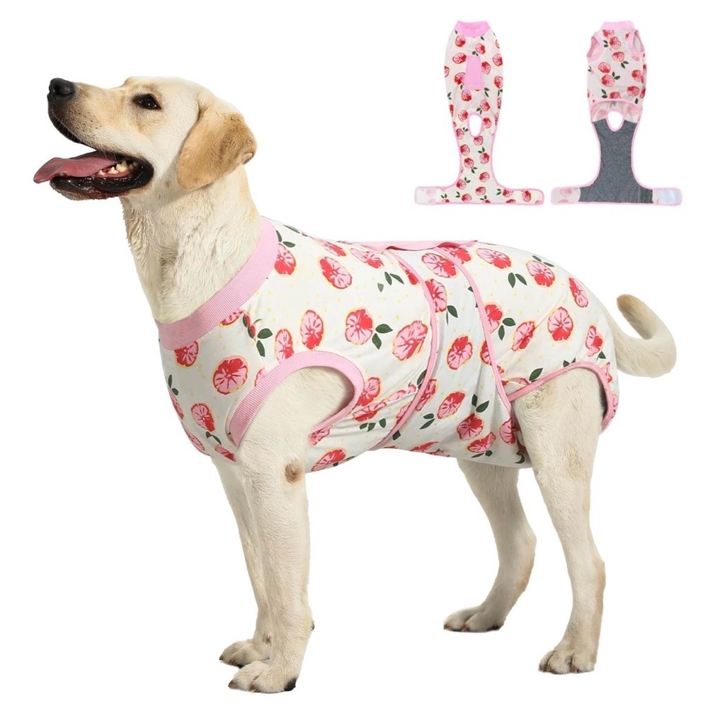 Surgery Dog Recovery Suit W/ soft cone WATERMELON PRINT